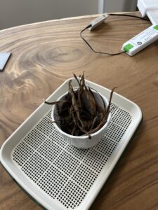 Digitale groene vingers of toch niet